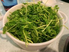 豆苗-烹然四季椰子鸡火锅(团结湖总店)
