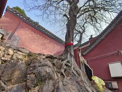 -长春观