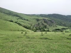 -大姆山草场