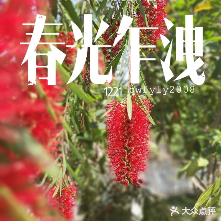 怒放的生命｜矗立在彩虹之巅🌈