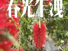 -沙河三洞古桥公园