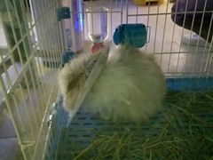 -雨林宠物医院 非犬猫异宠专科