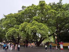 -桂林独秀峰王城景区