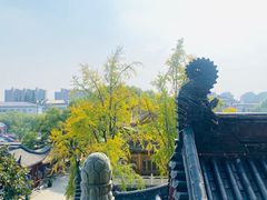 -上海东林寺(金山区)