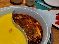 -青瓷火锅料理(西单大悦城店)