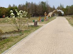 -同里国家湿地公园