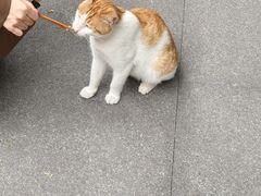 -龙华寺