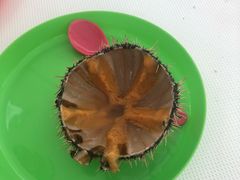 -塞尔夫岛