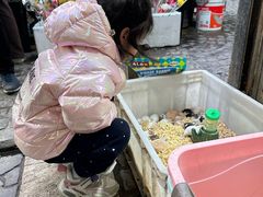 -曲阳花鸟市场(曲阳路店)