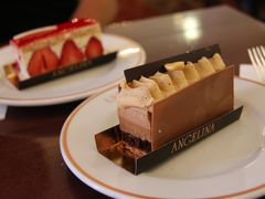 -Angelina(老佛爷店)