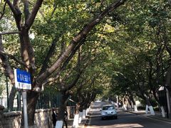 -八大关景区