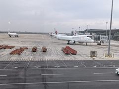 -魏家凉皮(大差市店)