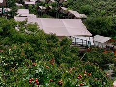 -北京山里寒舍度假酒店