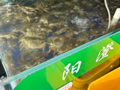 -阳澄湖大闸蟹·琼灵阁牌品牌连锁(吴中总店)