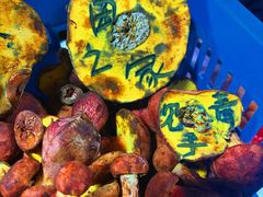 -菌之家·专业纯野生菌火锅·特色炒菌