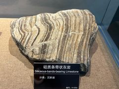 -甘肃地质博物馆