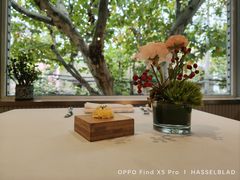 -蝶舍·MAISON PAPILLON