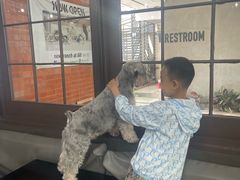 -Dog in Town Ekkamai