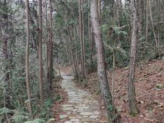 -黄陂区野村谷景区