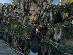 -奥兰多迪士尼动物王国乐园