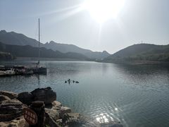 -天鹅湖生态旅游风景区