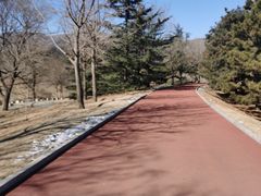 -国家植物园南园