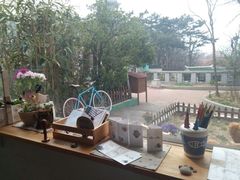 android_upload_pic-海边的猫和咖啡馆