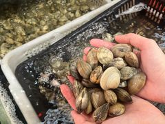 -坛南湾阿强农家乐.海鲜大排档老字号(福州地标美食店)