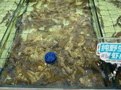 -大锅强·蒸海鲜青岛菜(吾悦广场店)