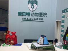 -爱贝特动物医院·猫口炎专科