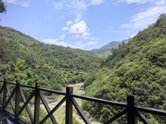 -芦茨金富饭庄·25年老字号·专做稻草鸡