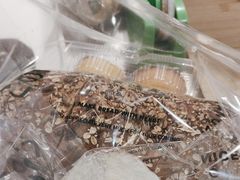 -窑滚面包专门店(马鞍山金鹰店)