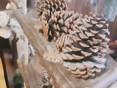 -MAX伯爵趣味互动密室逃脱(大坪D馆店)