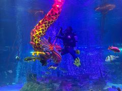 -沈阳海洋探索中心