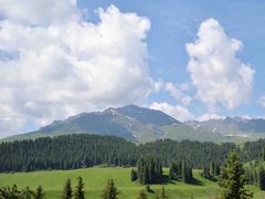 -仙人掌足疗养生馆(北京路至尊店)