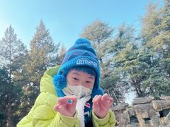 -鸡鸣汤包(红山动物园店)