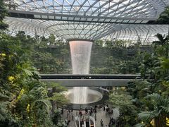 -樟宜机场免税店