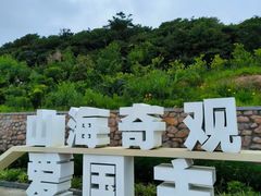 -枸杞岛