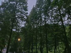 -青城山