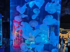 -泉城欧乐堡海洋极地世界
