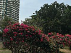 -北海市海滨公园