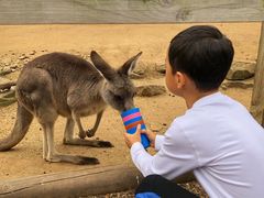 -费瑟代尔野生动物园