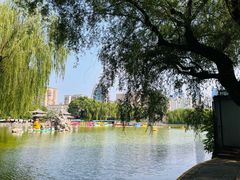 -团结湖公园