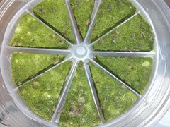 -宴小馆·小海鲜青岛菜(五四广场店)