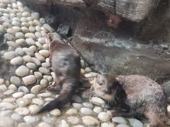 -南昌融创海世界