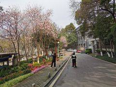 -重庆彩云湖湿地公园