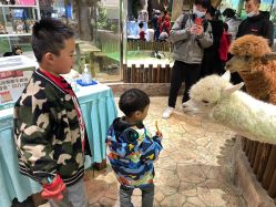 -宝燕乐园(闵行旗舰店)