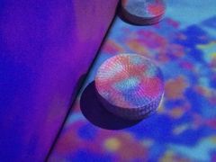 -南国大家装(汉西店)