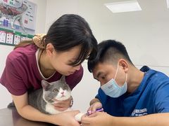 -爱诺耐芙动物医院(万博店)