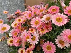 点击看大图 -花隐·美芙炫海菲秀皮肤管理中心